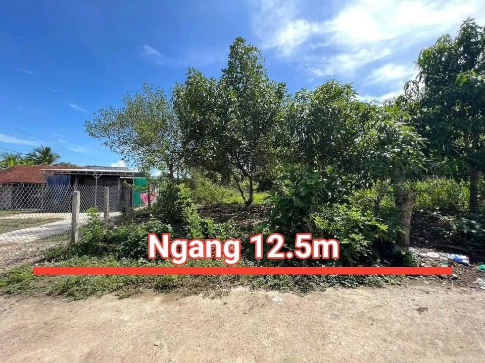 Đất Diên Xuân 399m² giá chỉ 999 triệu - Tặng vườn cây ăn quả
