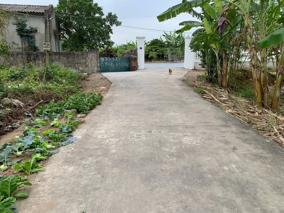 Đất thổ cư 60m² tại Tân Dân, Chí Linh, Hải Dương - Giá chỉ 550 triệu!