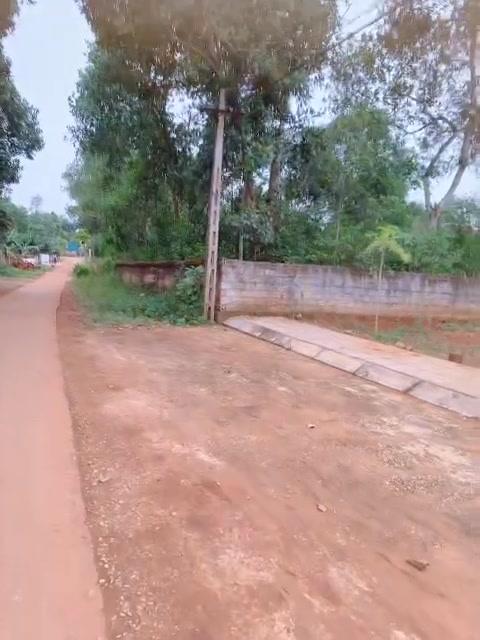 Đất nền Thọ Tân, Triệu Sơn 125m² - Sổ đỏ chính chủ, giá chỉ 3xx triệu!