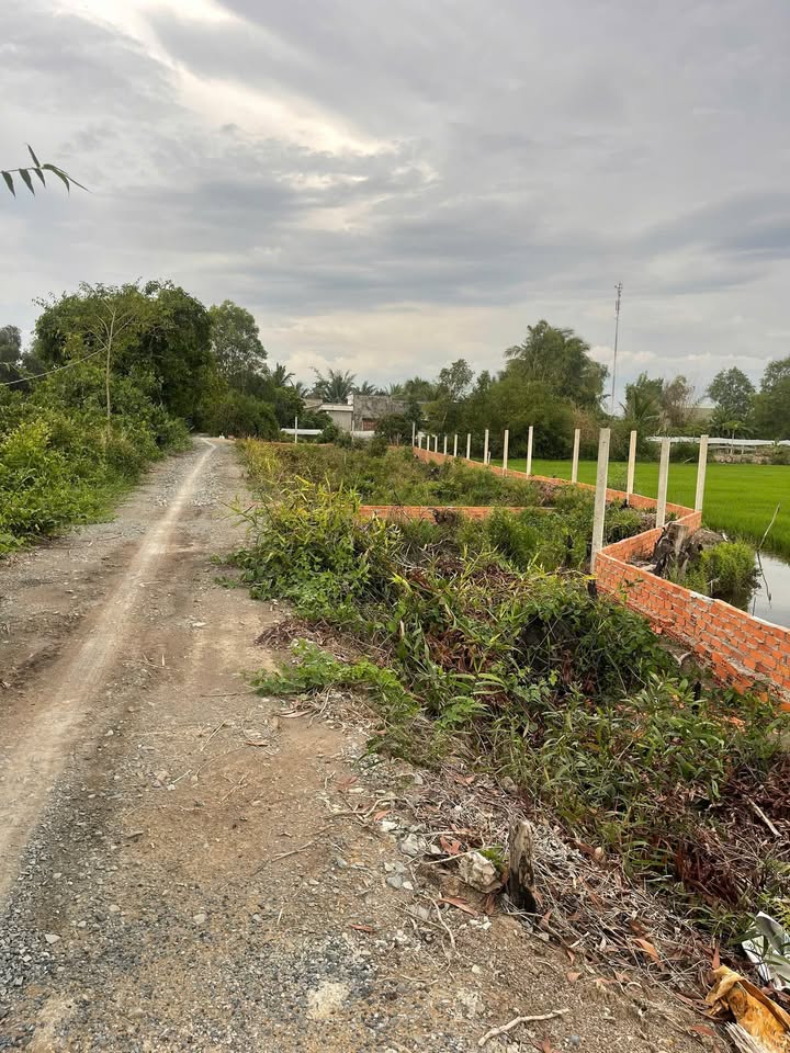 Đất vườn Hòa Khánh Nam 600m² giá 12 tỷ - Cơ hội đầu tư tuyệt vời!