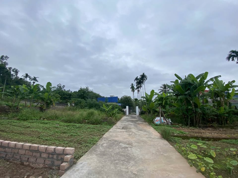 Lô đất Hòa Bình, Hải Phòng 71m² giá thỏa thuận - Tiềm năng đầu tư cao!