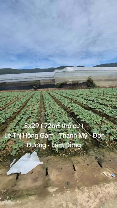 Đất thổ cư trung tâm Thạnh Mỹ - Đơn Dương 72m² giá 1.68 tỷ - Mặt tiền đường lớn