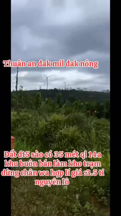 Đất nền xã Thuận An, huyện Đắk Mil 5 sào - Giá chỉ 3.5 tỷ, thương lượng ngay!