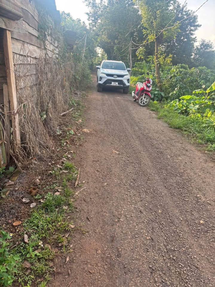 Đất nền Nhân Cơ - Đắk R'Lấp 3600m² giá 750 triệu - Đường xe ô tô vào tận nơi!