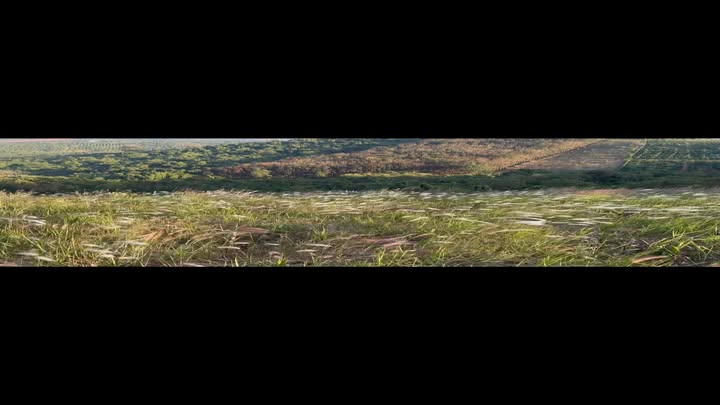 Đất nền Quảng Tín 3600m² giá 250 triệu - Cơ hội đầu tư lý tưởng!