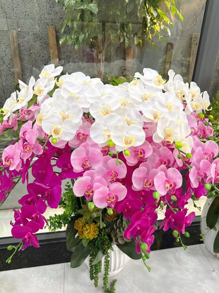 Đất thổ cư An Tây, Bến Cát 20m² giá 6 tỷ - Đường nhựa nhánh, xây nhà ngay!