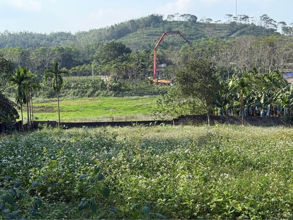 Lô đất Ba Trại, Ba Vì 2577m² giá 6 tỷ - Đầu tư sinh lời hấp dẫn!