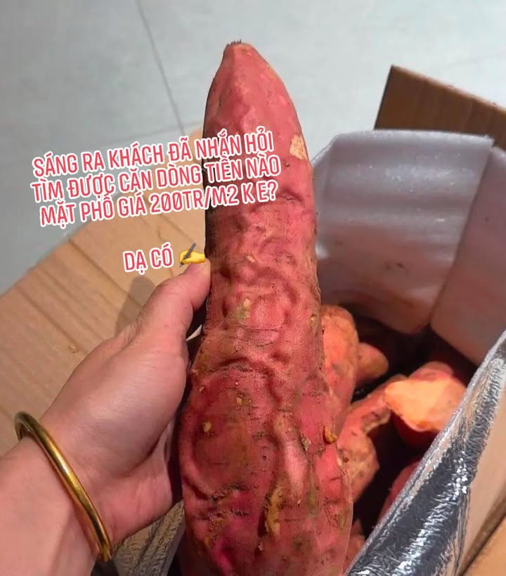 Căn hộ dịch vụ mặt phố Núi Thành, Hải Châu, Đà Nẵng 145m² giá 29.5 tỷ - Đầu tư sinh lời hấp dẫn!