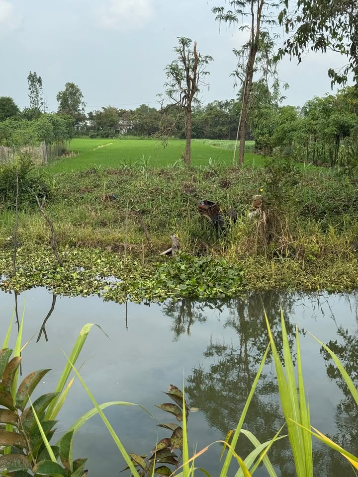 Đất nền mặt tiền kênh 2490m² giá 2.49 tỷ - Cơ hội đầu tư tuyệt vời!