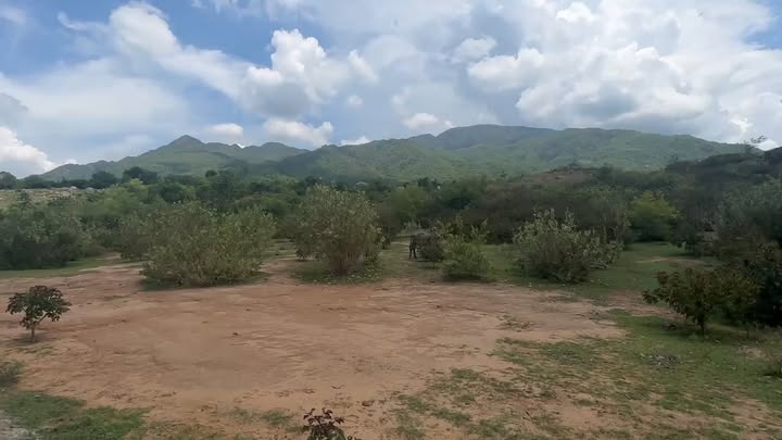 Đất nền thôn Ta Dương, xã Phước Thái, Ninh Phước 21.000m² - Giá thương lượng hấp dẫn!