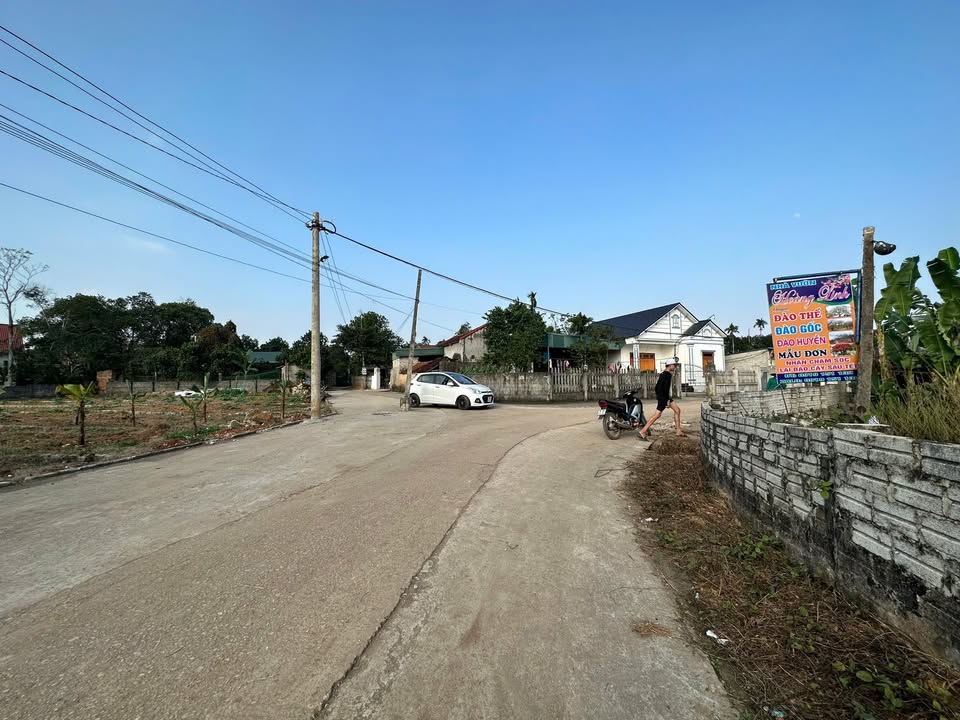 Đất thổ cư Thọ Tân, Triệu Sơn 210m² giá 300 triệu - Cơ hội đầu tư tuyệt vời!