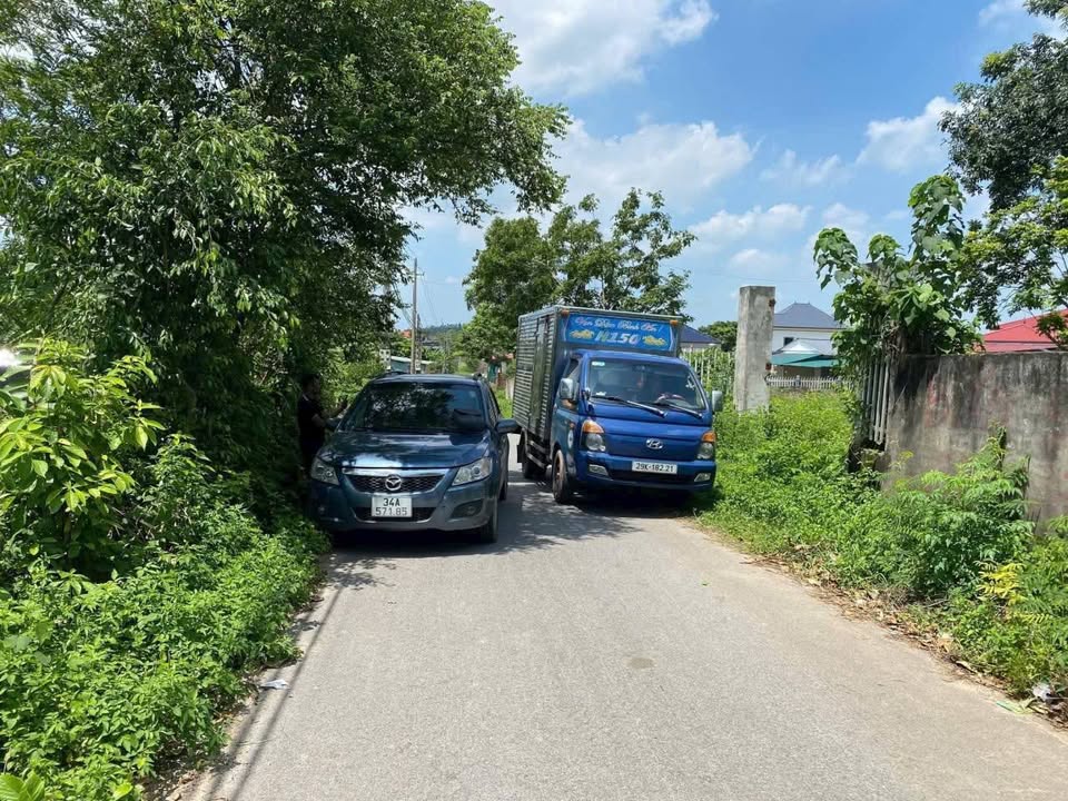 Đất nền tại Minh Quang, Tam Đảo, Vĩnh Phúc 124m² - Giá chỉ 700 triệu!