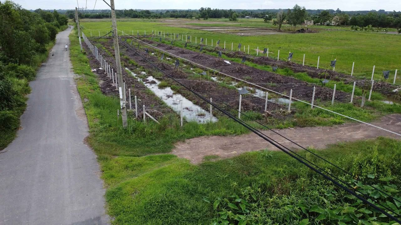 Đất vườn Củ Chi 2565m² giá 4.959 tỷ - Phù hợp nghỉ dưỡng lý tưởng!