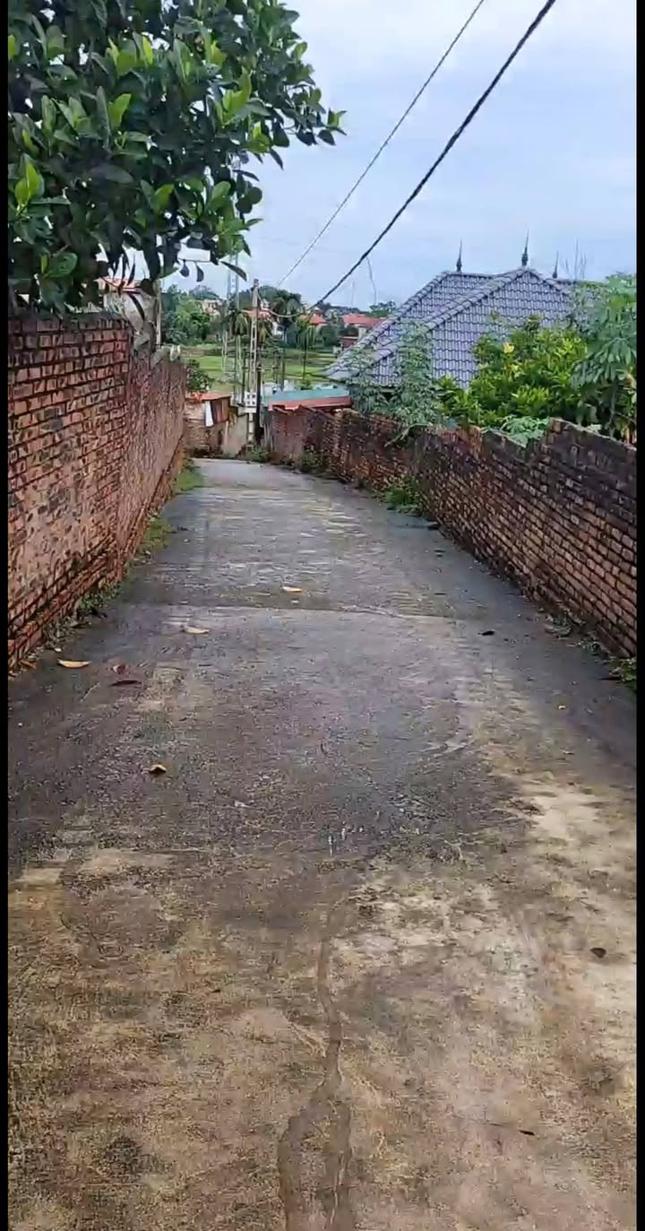 Đất nền Thái Đào Lạng Giang 918m² giá 3 tỷ - Cơ hội đầu tư sinh lời!