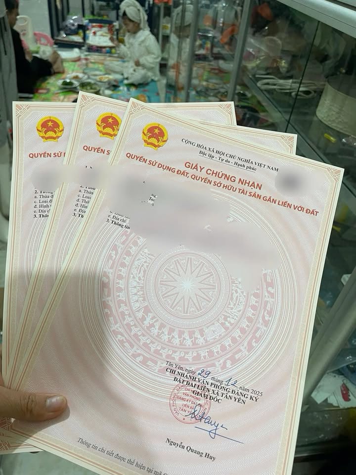 Đất nền đường QL17, xã Việt Lập, 120m² giá 3 tỷ - Cơ hội đầu tư hấp dẫn!