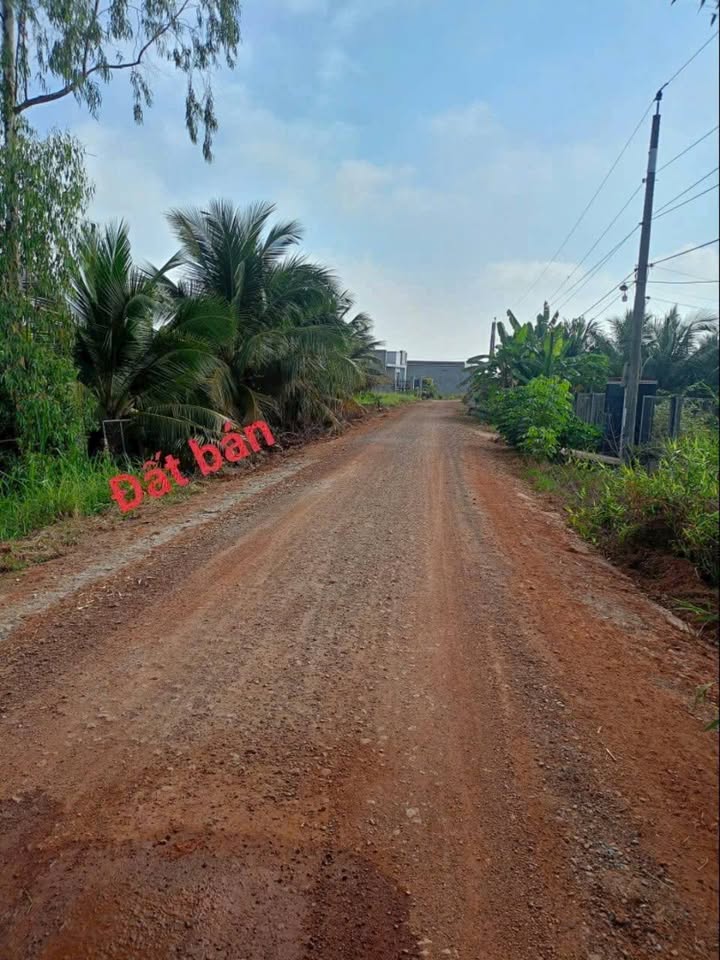 Đất mặt tiền Nguyễn Văn Quá, Tân An 2500m² giá 3.6 tỷ - Cơ hội đầu tư hiếm có!