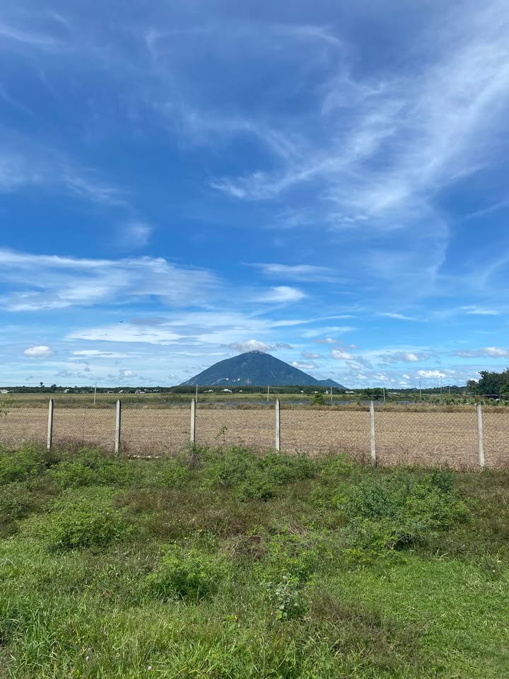 Đất nền Cầu Khởi, Dương Minh Châu 1381.6m² giá 1.9 tỷ - View Núi Bà tuyệt đẹp!