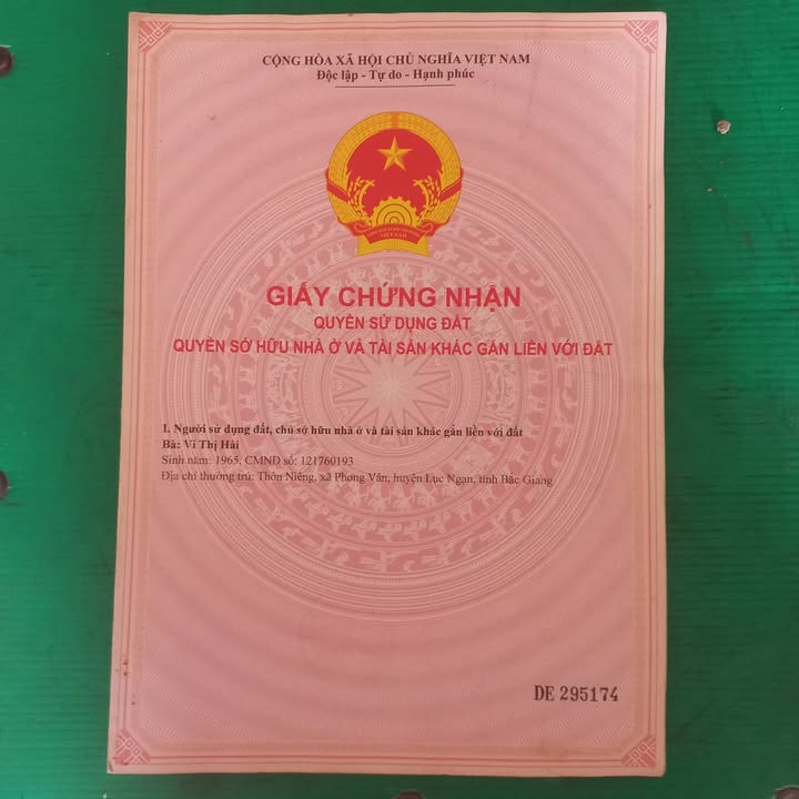 Đất nền mặt đường Quốc lộ 279 Lục Ngạn 285m² - Tiềm năng đầu tư cực cao!