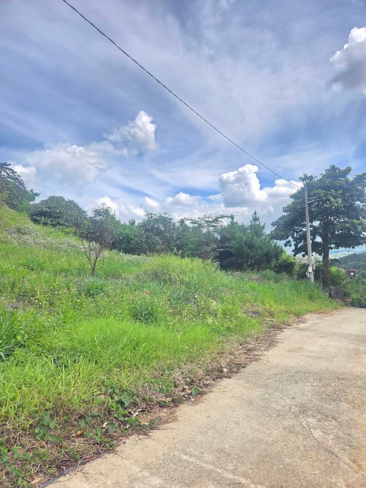 Đất nền 1.700m² tại thôn 6 Đại Lào, Bảo Lộc - Giá chỉ 1.2 tỷ, cơ hội đầu tư tuyệt vời!