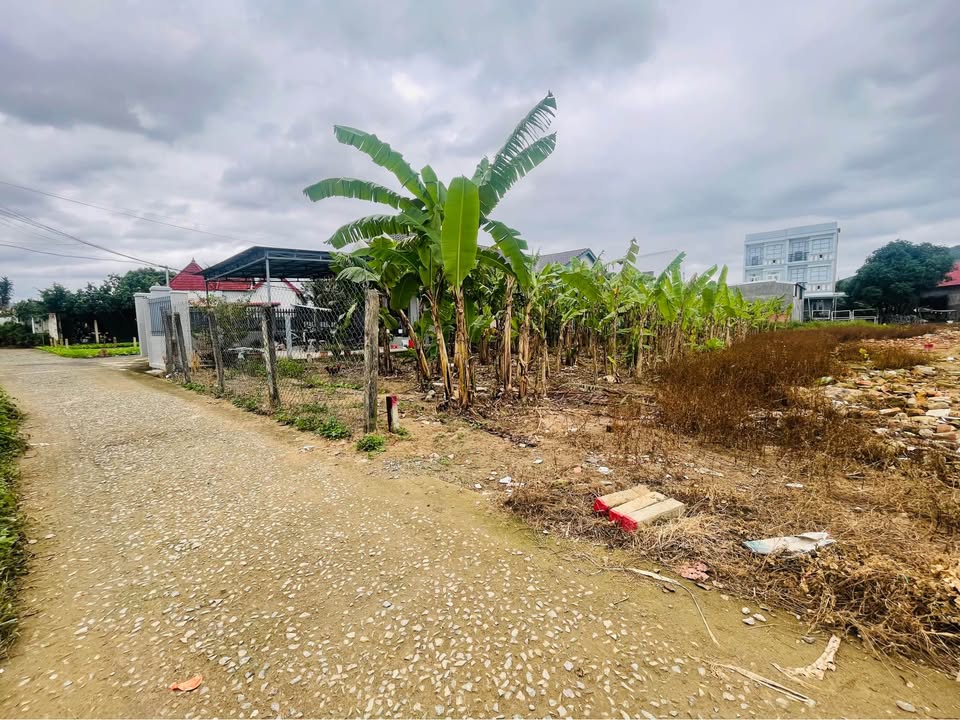 Đất Diên Điền 95,7m² giá 950 triệu - Sổ đỏ chính chủ, ô tô vào tận nơi!