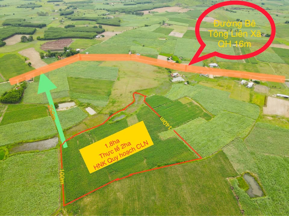 Đất nông nghiệp Ninh Hòa 1.8ha giá thỏa thuận - Tiềm năng phát triển lớn!