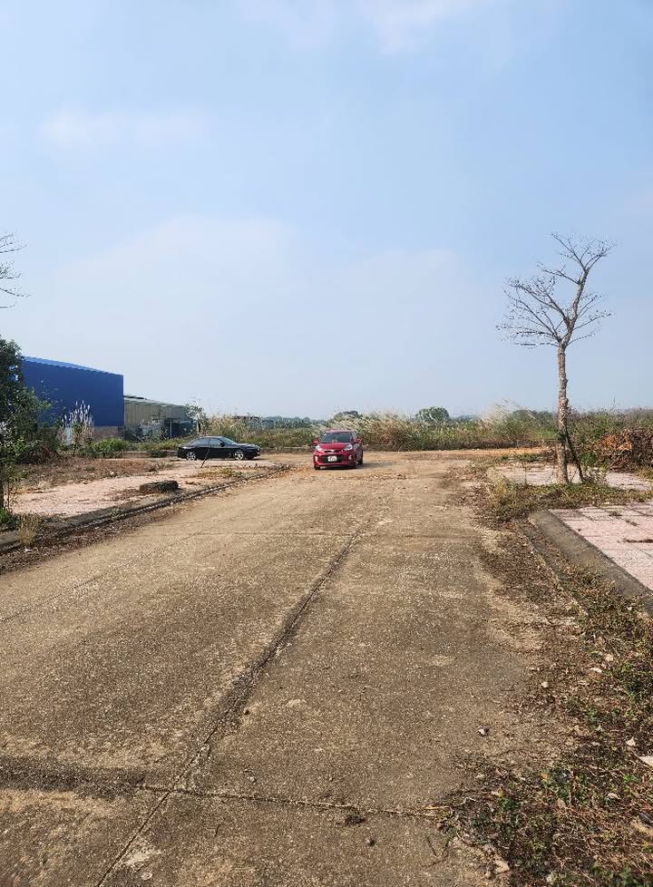 Đất nền khu đô thị Phúc Sơn Vĩnh Tường 100m² giá 2.3 tỷ - Sổ đỏ chính chủ ngay mặt đường 16,5m!