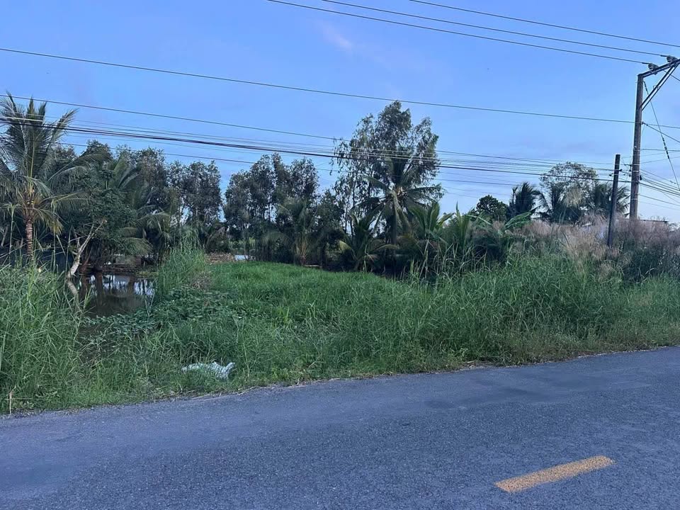 Đất nền đường tỉnh lộ 940 Mỹ Tú 573.5m² chỉ 650 triệu - Cơ hội đầu tư tuyệt vời!