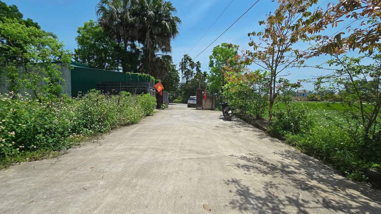 Lô đất Thôn Thống Nhất, xã Thạch Đài, TP Hà Tĩnh 215m² - Giá chỉ 1.5 tỷ, đầu tư sinh lời!