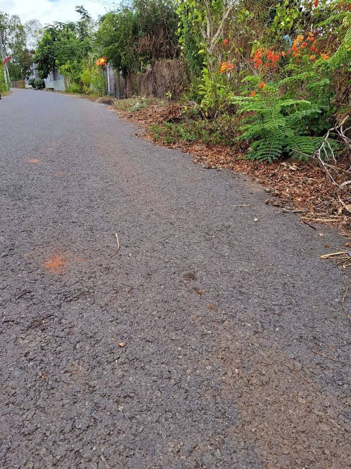 Đất nông nghiệp 900m² mặt tiền đường nhựa xã Đá Bạc - Giá 3.8 tỷ, thương lượng tốt!