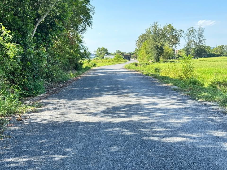 Đất Nghi Liên 196.7m² giá 1.88 tỷ - Cơ hội đầu tư tuyệt vời!