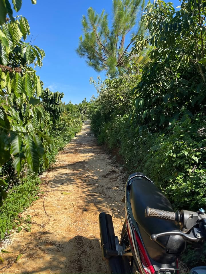 Lô đất 3.600m² tại Thôn An Hòa, Lộc An - Giá chỉ 500 triệu!