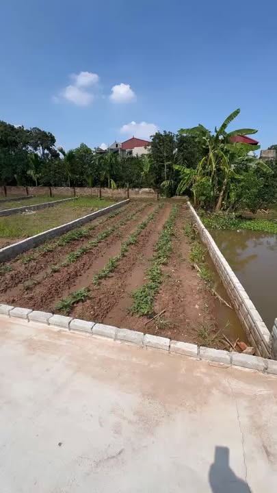 Đất nền Bạch Hạ, Phú Xuyên 81m² giá 1.97 tỷ - Đầu tư bền vững ngay hôm nay!