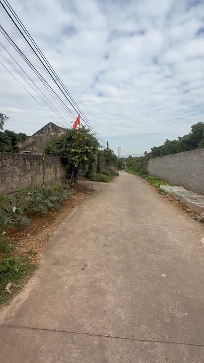 Đất mặt tiền 7m và 8m trục chính Chu Điện, Lục Nam 140m² - Đầu tư sinh lời tốt!