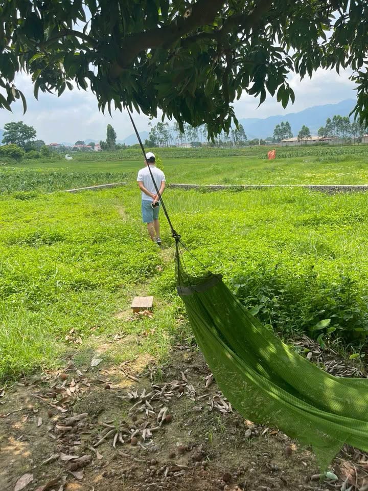 Đất nền Khám Lạng, Lục Nam 319.8m² giá 2 tỷ - Đầu tư sinh lời ngay!