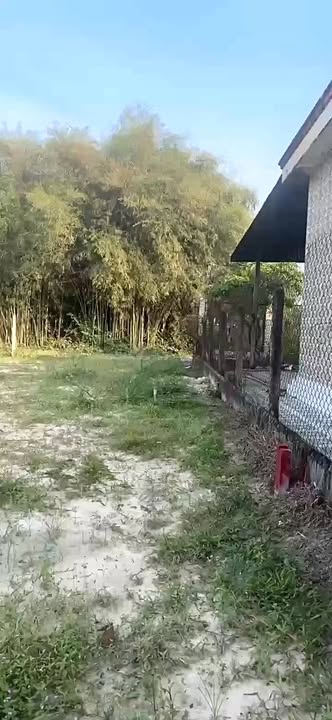 Đất thổ cư An Hòa Trảng Bàng 581m² giá thỏa thuận - Cơ hội đầu tư tuyệt vời!