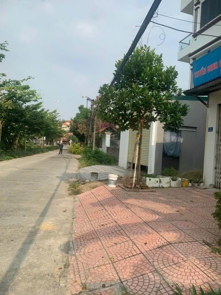 Đất nền Tân Hưng Hải Dương 48m² giá 600 triệu - Đường ô tô vào tận nơi!