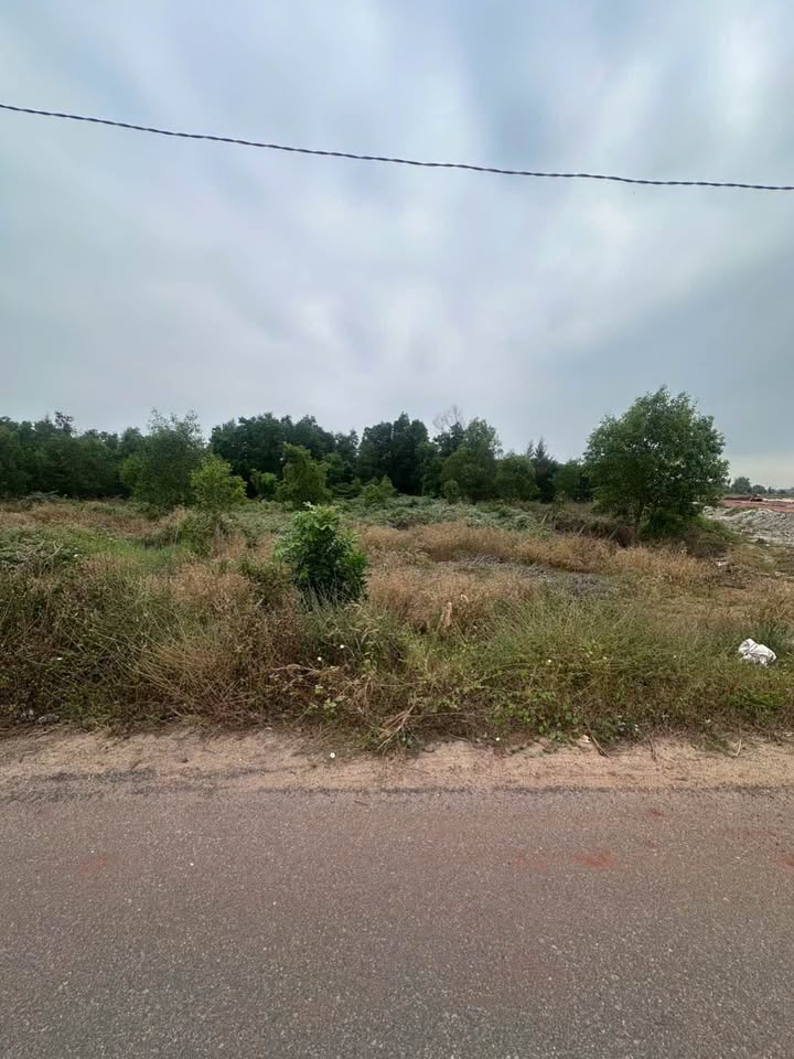 Đất nền Lộc An, Đất Đỏ, 2000m² - Đầu tư sinh lợi ngay!