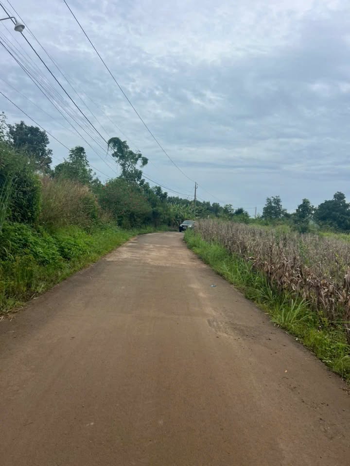 Đất thổ cư 1500m² tại Bảo Bình, Cẩm Mỹ - Giá chỉ 1.2 tỷ - Sổ đỏ chính chủ!