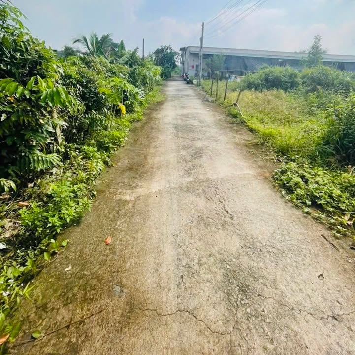 Đất thổ cư 137m² tại Ấp 2, Long Thọ, Nhơn Trạch chỉ 1 tỷ - Đầu tư sinh lời ngay!