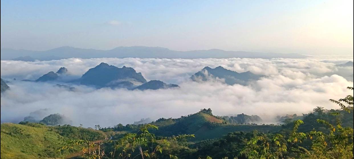 Đất nền Tân Lập Mộc Châu 4500m² giá 680 triệu - Săn mây tại gia!