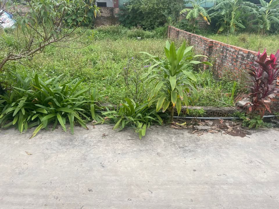 Đất thổ cư Hương Đình, Sóc Sơn 95m² giá 4.9 tỷ - Đầu tư sinh lời dễ dàng!