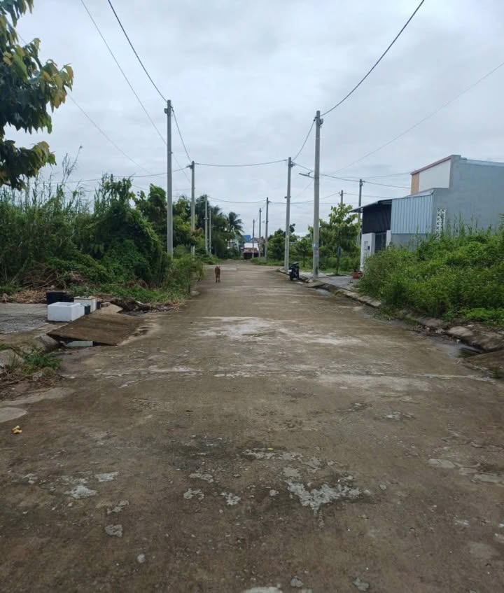 Đất nền Vĩnh Hòa Hiệp, Châu Thành 100m² giá 780 triệu - Đầu tư sinh lời ngay!