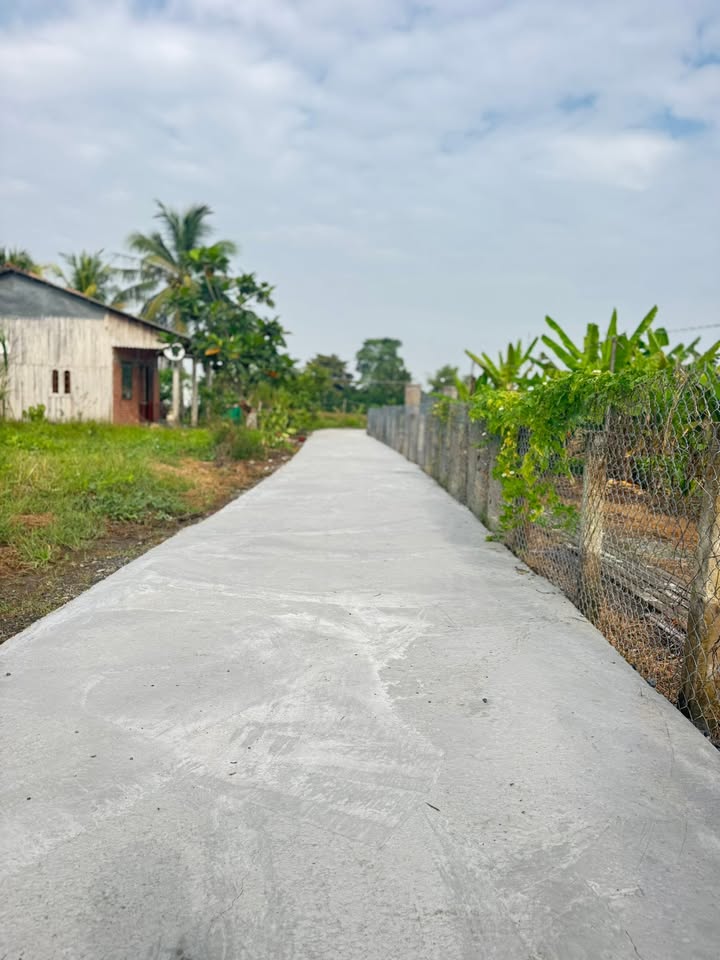 Đất nền Bình Tâm Tân An 1100m² giá 850 triệu - Đầu tư sinh lời ngay!