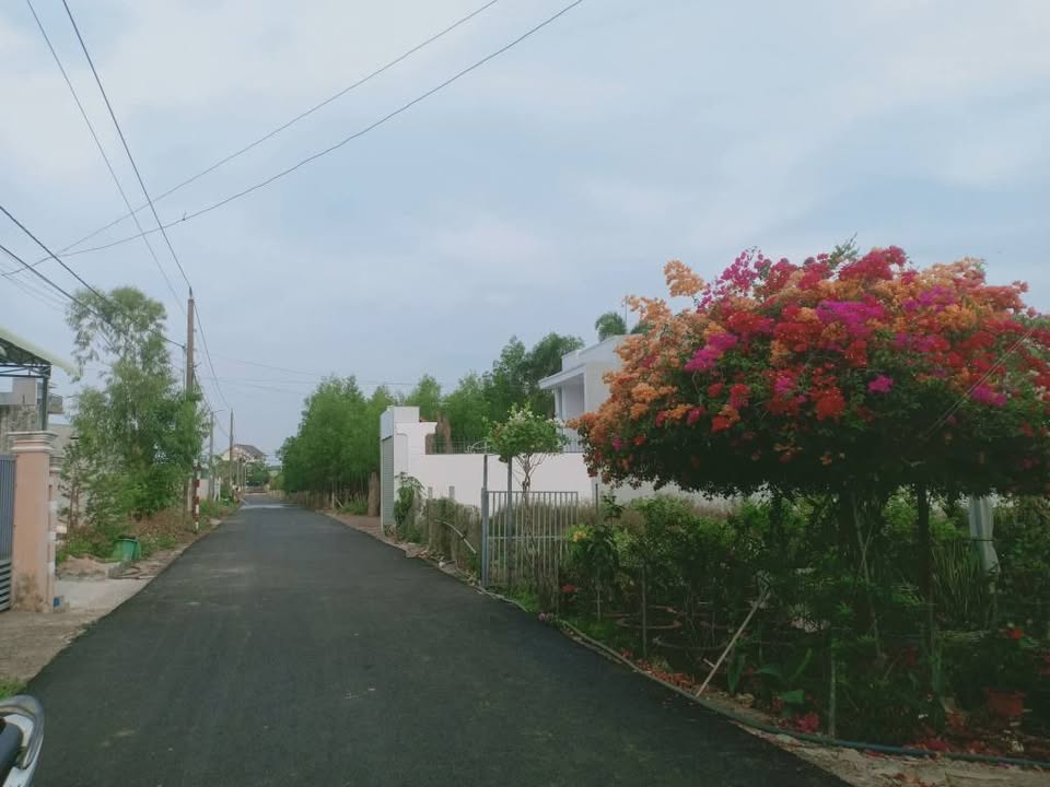 Đất Xuyên Mộc 341m² giá 2.8 tỷ - Tặng 2 căn nhà, vị trí đắc địa gần trung tâm!