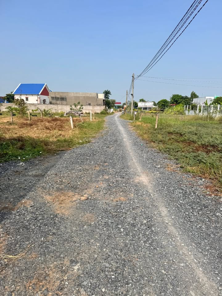 Đất vườn 1000m² xã Tân Lân, Cần Đước - Giá chỉ 2.55 tỷ