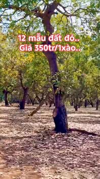 Đất nông nghiệp 48,000m² tại Túc Trưng, Định Quán giá 12.6 tỷ - Cơ hội đầu tư tuyệt vời!