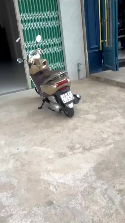 Nhà mặt tiền kinh doanh Bảo Lộc 127.5m² giá 4.3 tỷ - Đầu tư sinh lời ngay!