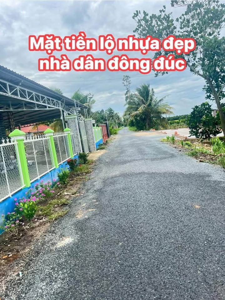 Đất ruộng mặt tiền lộ nhựa 6.320m² tại xã Thành Trung - Giá chỉ 320 triệu!