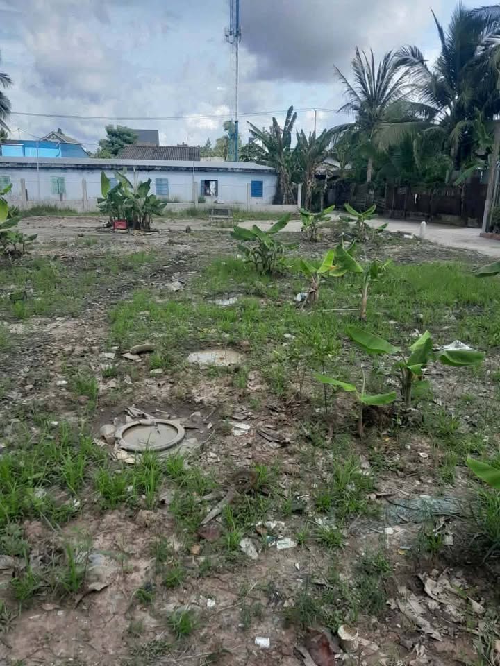 Đất nền liền kề 107m² tại Phú Tân, Châu Thành - Giá chỉ 300 triệu!