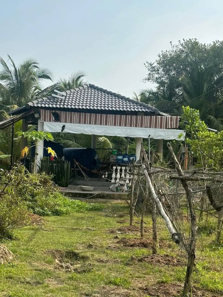 Đất vườn nghỉ dưỡng tại Đường Phan Văn Chiêu, Sóc Trăng 2500m² giá 5.5 tỷ - Đầu tư lý tưởng!